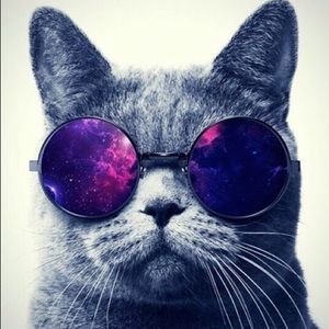 Meet your Posher, Shasha